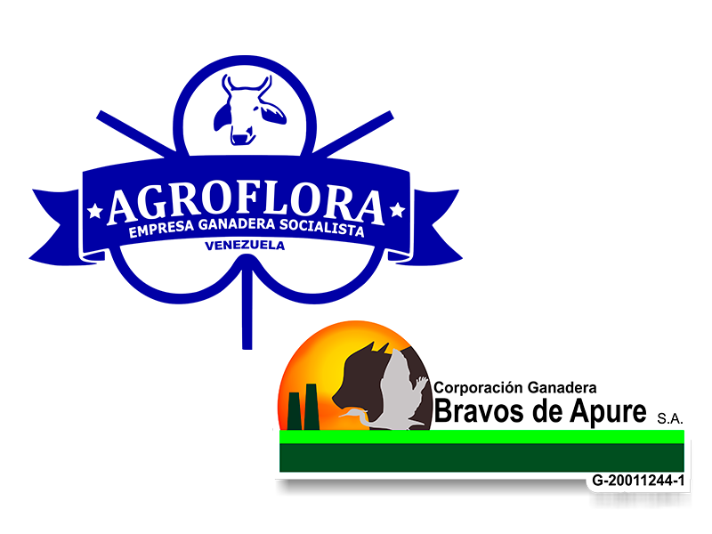 Administración Empresas